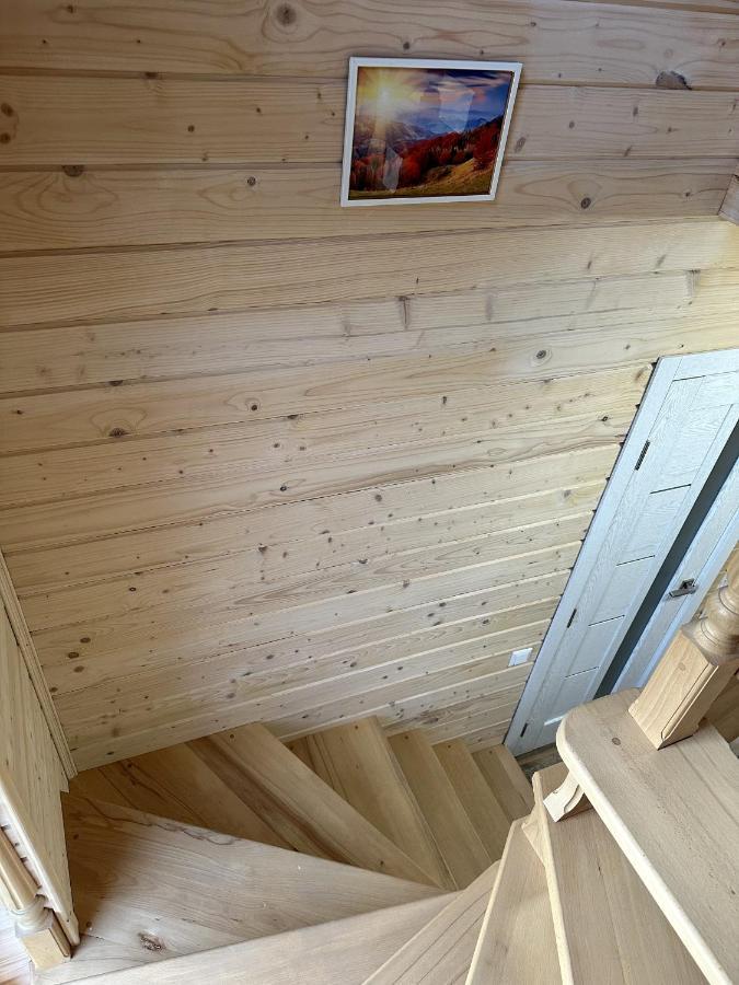 Carpathian Dream Apartments Iaremcea Exterior foto